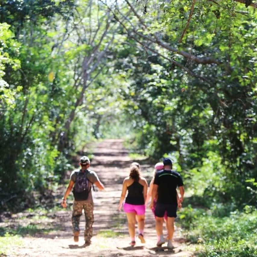 Arua Observacao De Vida Silvestre Praia do Forte Luaran gambar